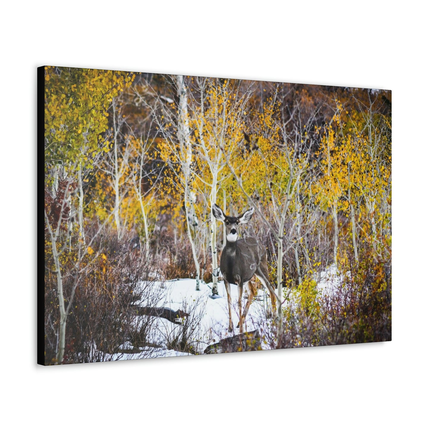 Deer Canvas Gallery Wraps