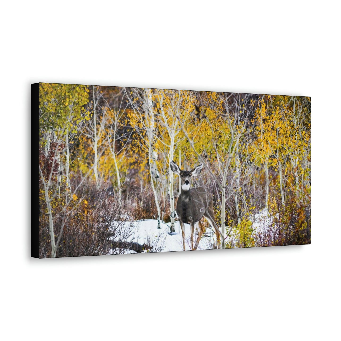 Deer Canvas Gallery Wraps