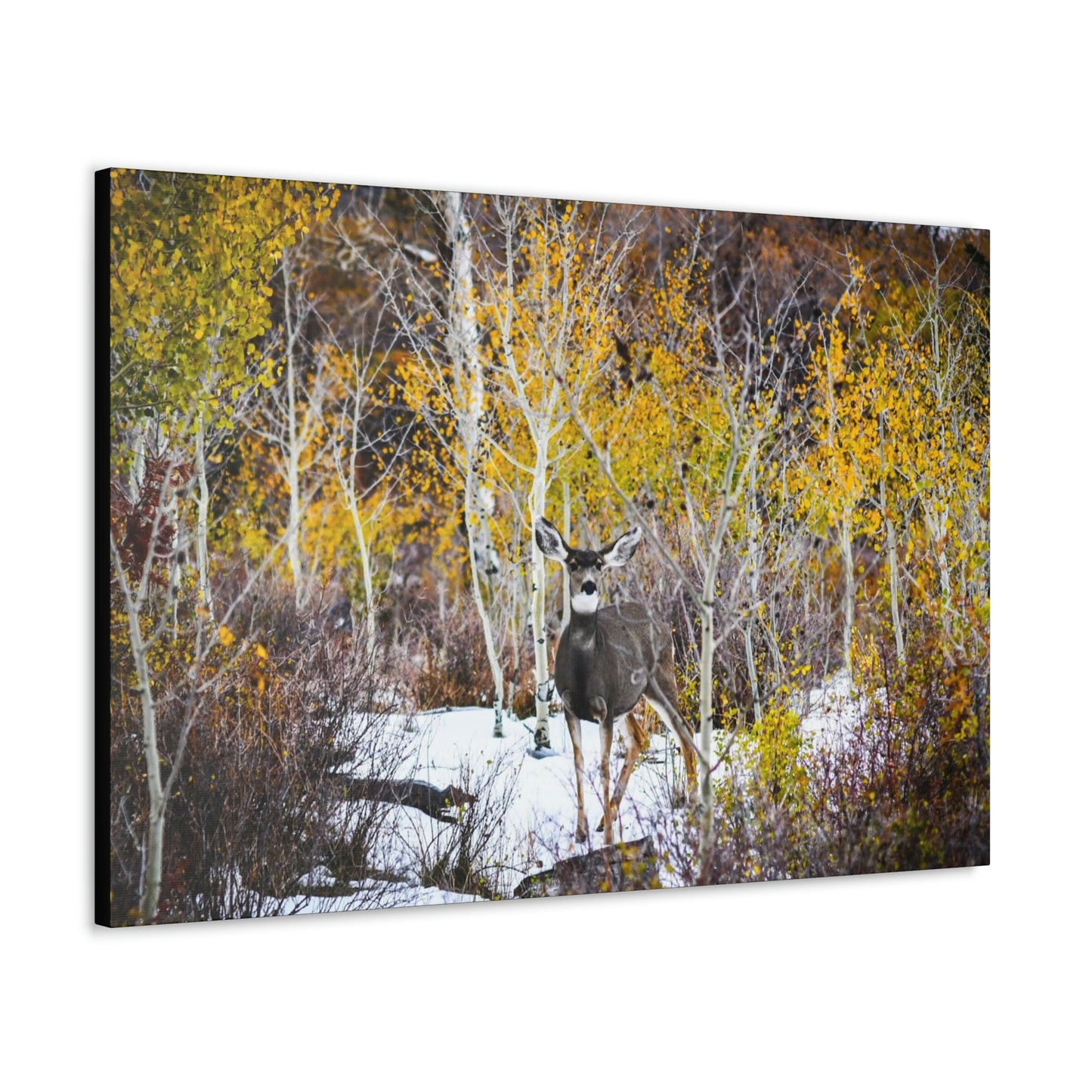 Deer Canvas Gallery Wraps