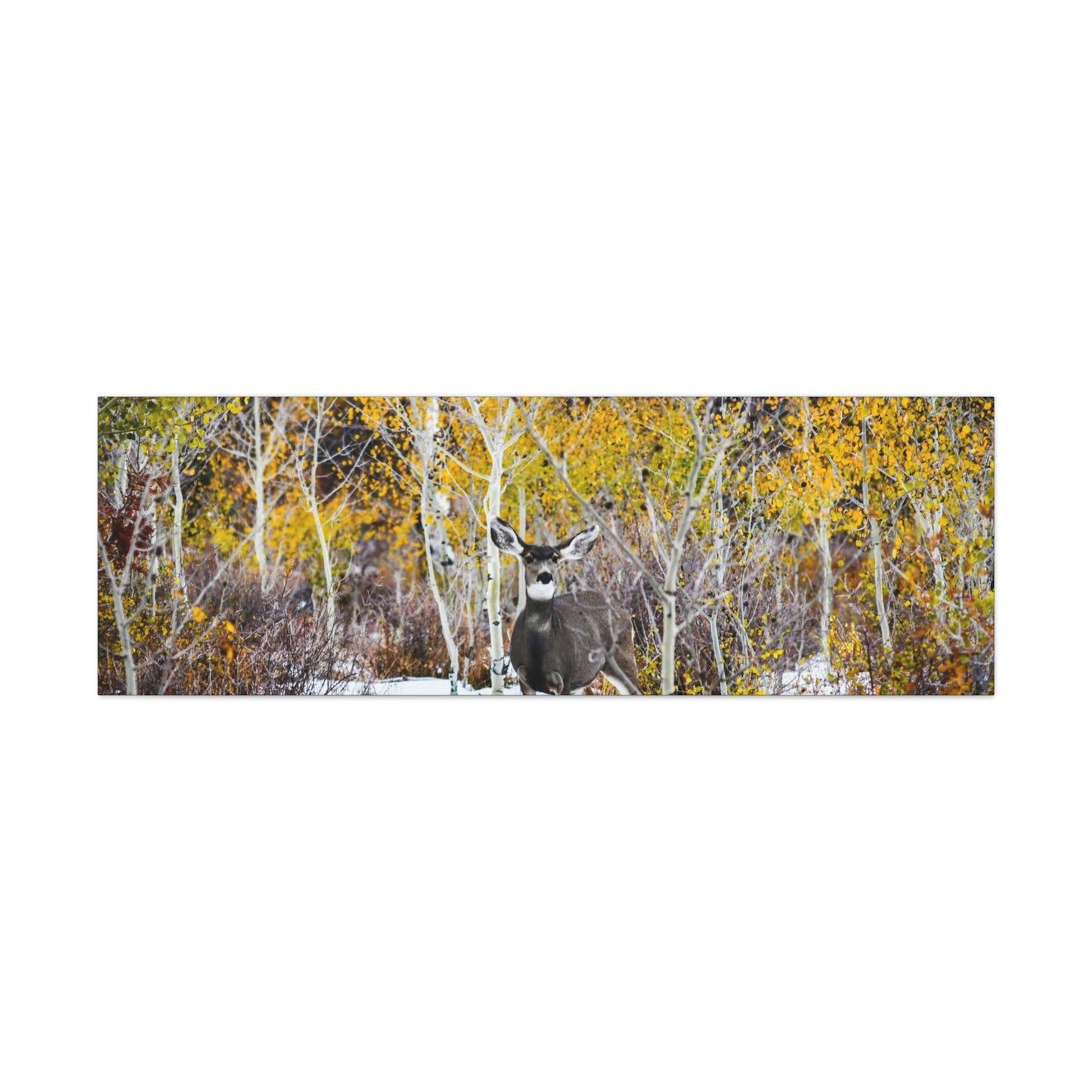 Deer Canvas Gallery Wraps