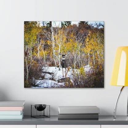Deer Canvas Gallery Wraps