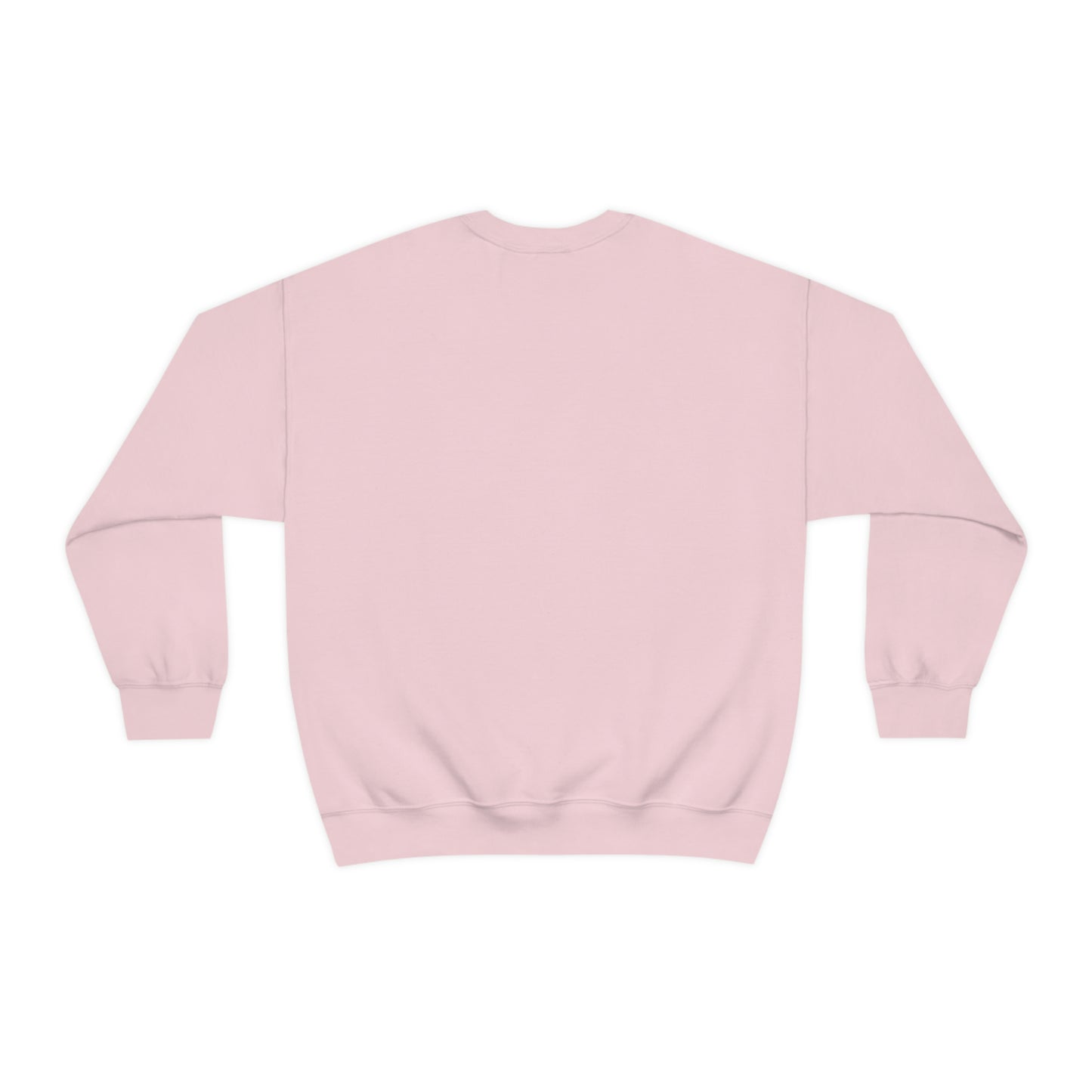 Compass Crewneck Sweatshirt