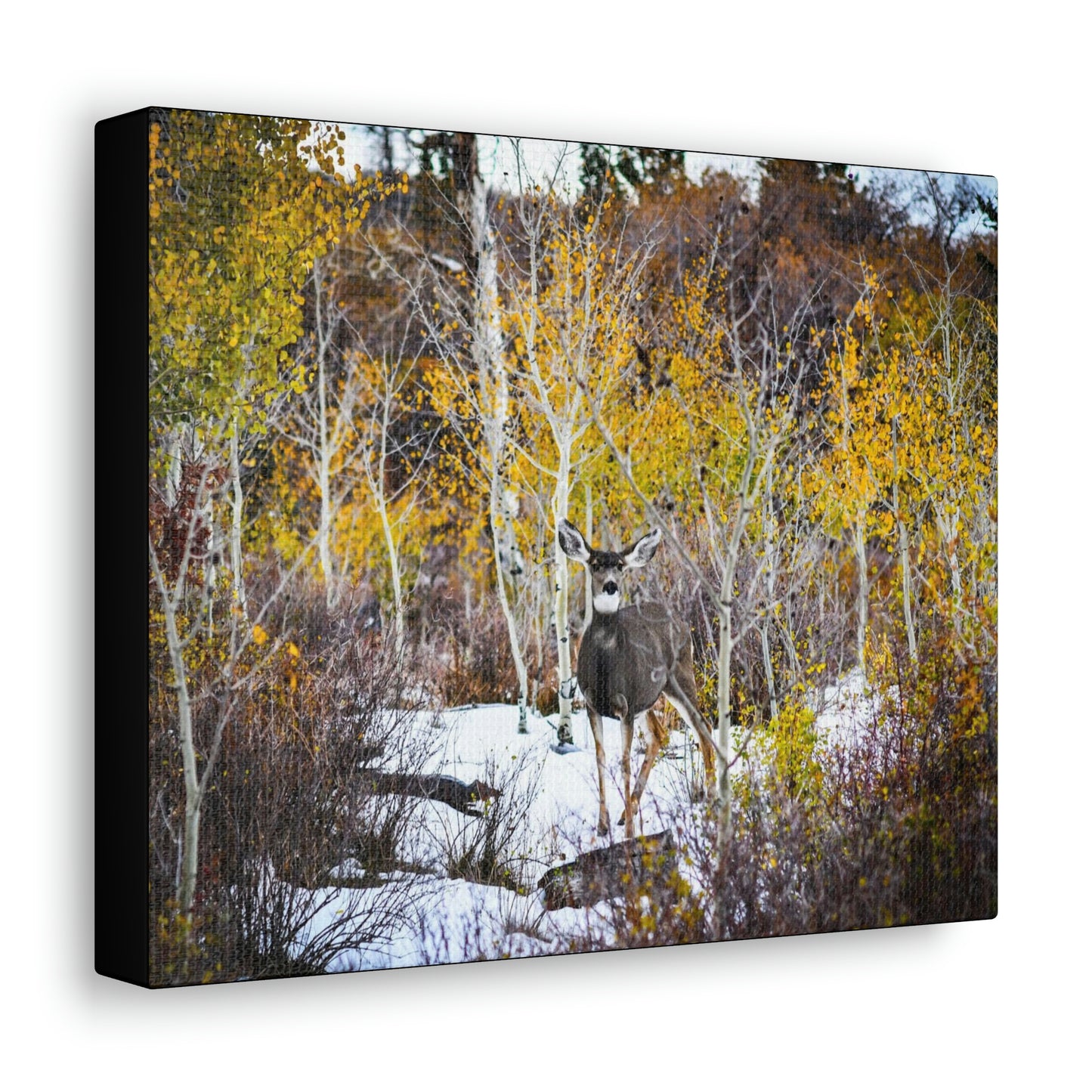 Deer Canvas Gallery Wraps