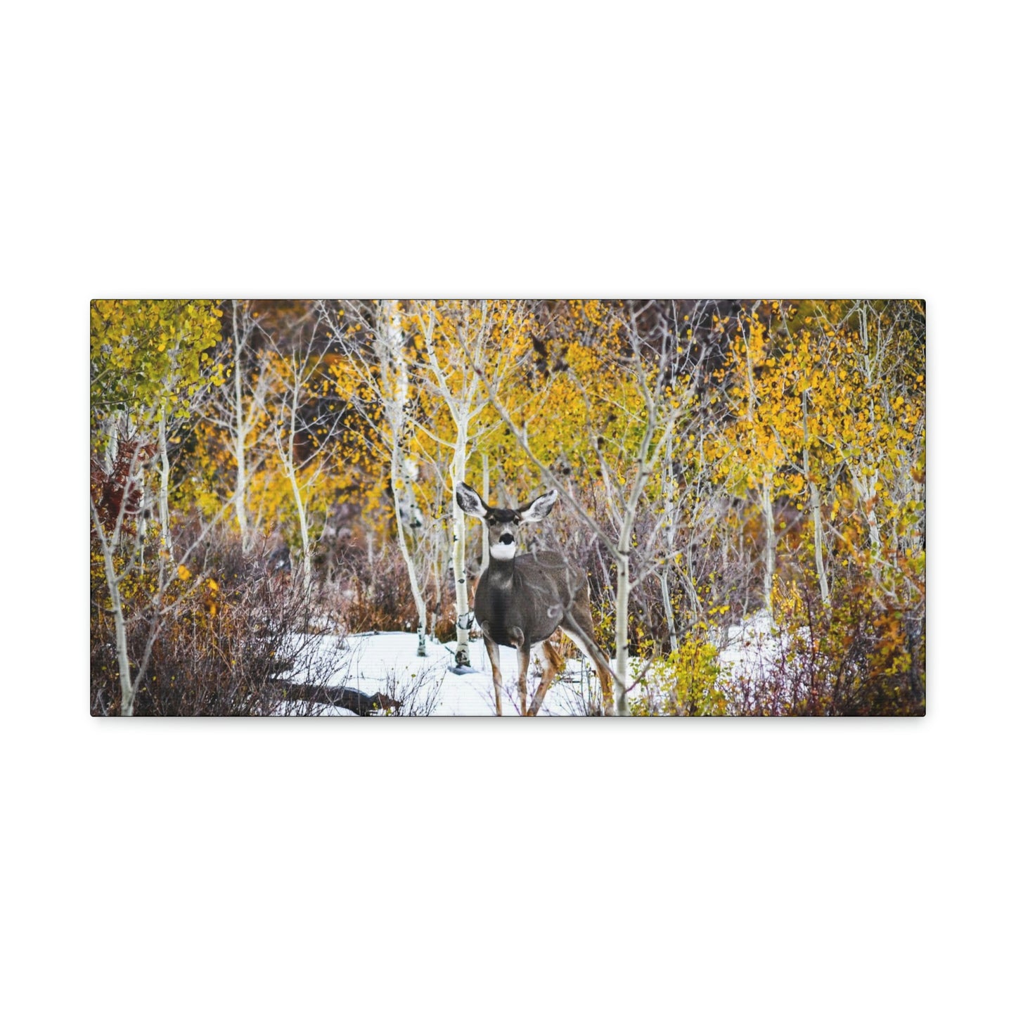 Deer Canvas Gallery Wraps