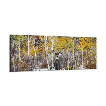 Deer Canvas Gallery Wraps