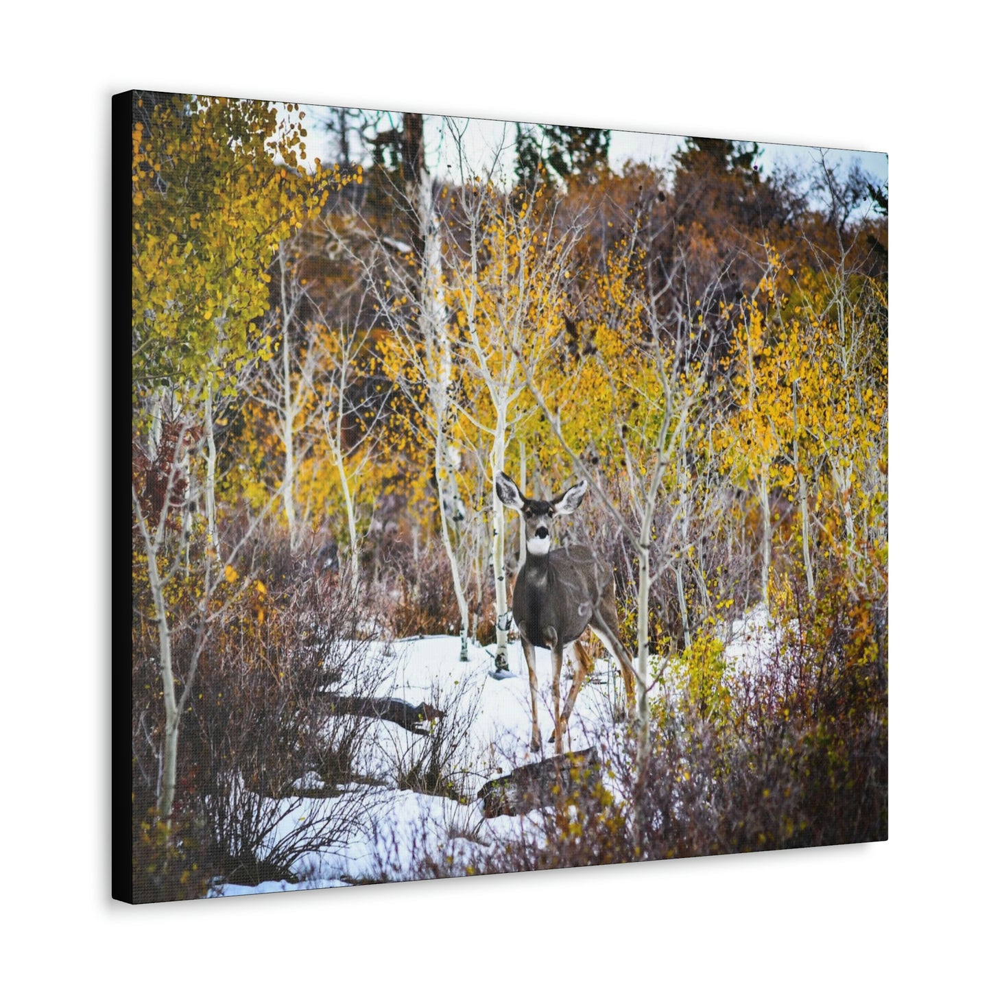 Deer Canvas Gallery Wraps